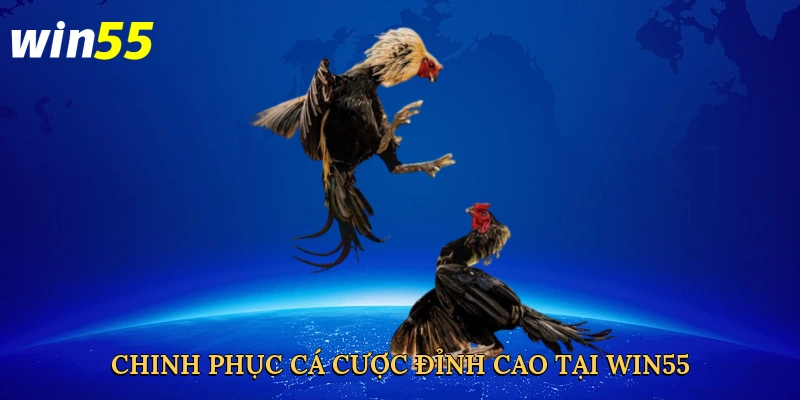 chinh-phuc-ca-cuoc-dinh-cao-tai-win55