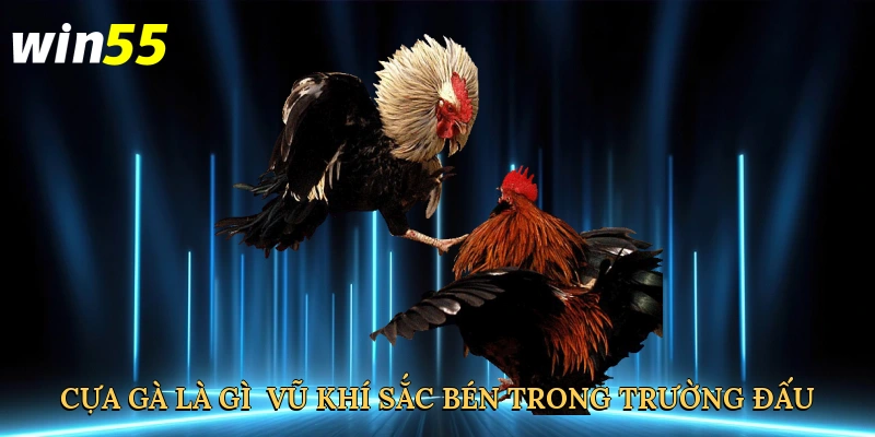 cua-ga-la-gi-vu-khi-sac-ben-trong-truong-dau