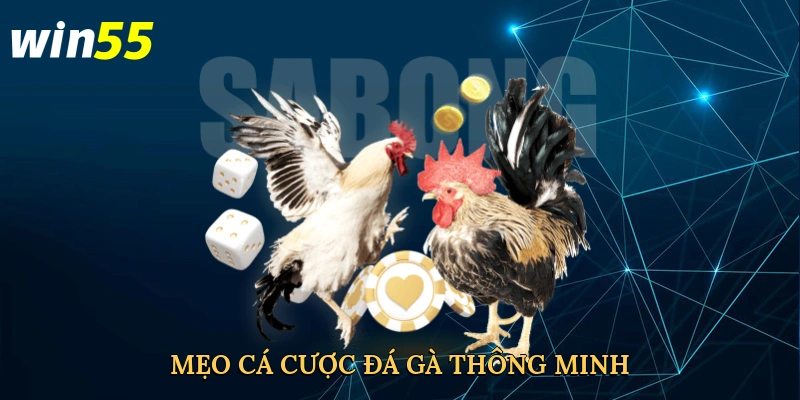 meo-ca-cuoc-da-ga-thong-minh