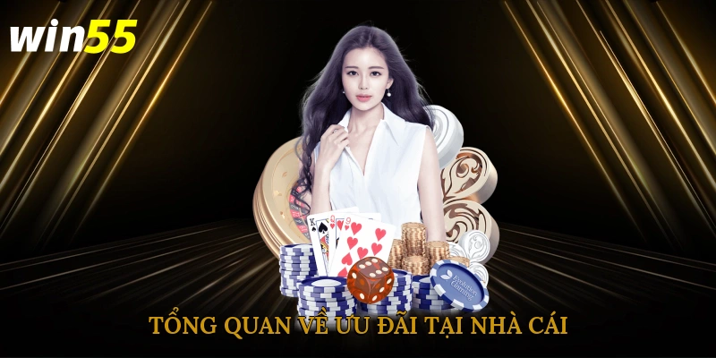 Tổng quan về ưu đãi tại nhà cái