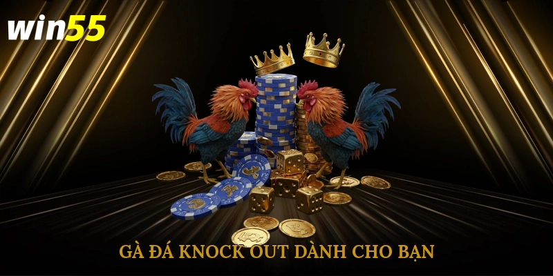 Gà đá knock out dành cho bạn
