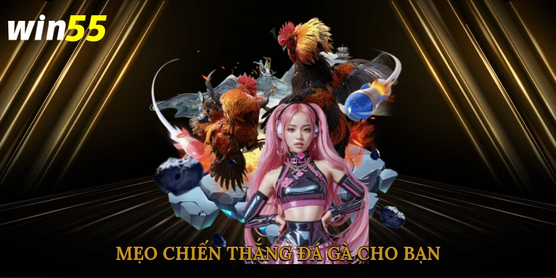 Mẹo chiến thắng đá gà cho bạn