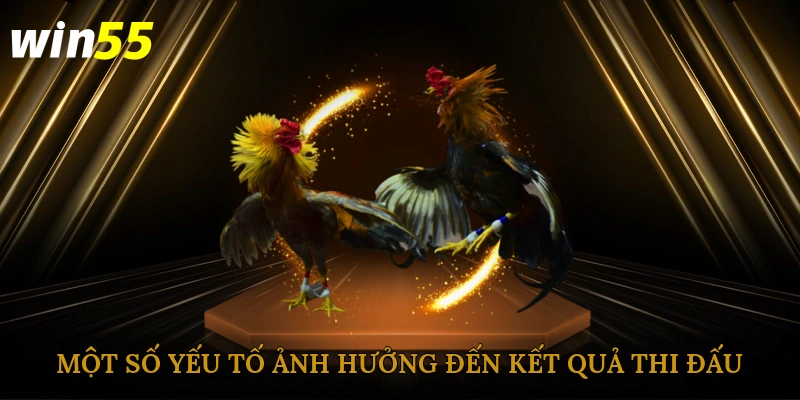 Một số yếu tố ảnh hưởng đến kết quả thi đấu