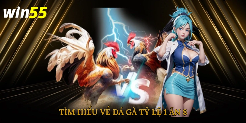 Tìm hiểu về đá gà tỷ lệ 1 ăn 8